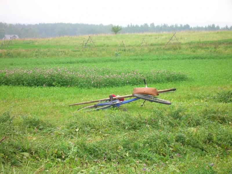 rower