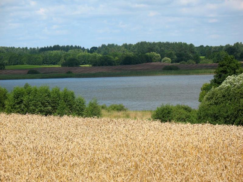 jezioro