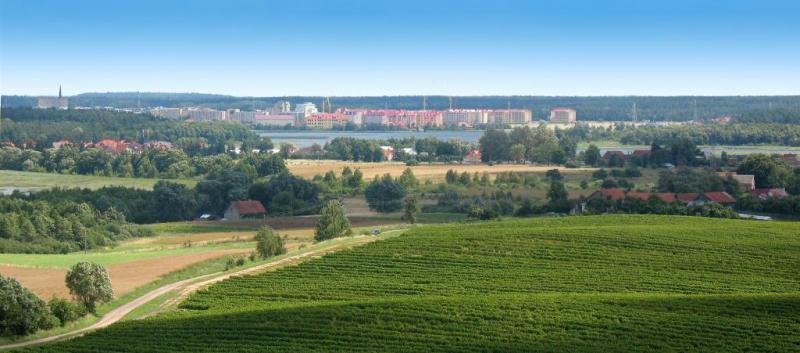 panorama, teren