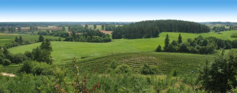 panorama, teren