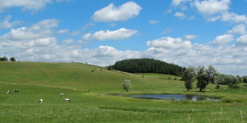 teren, mazury