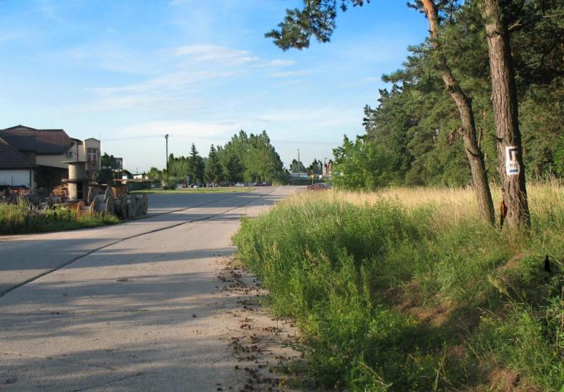 szlak, czarny