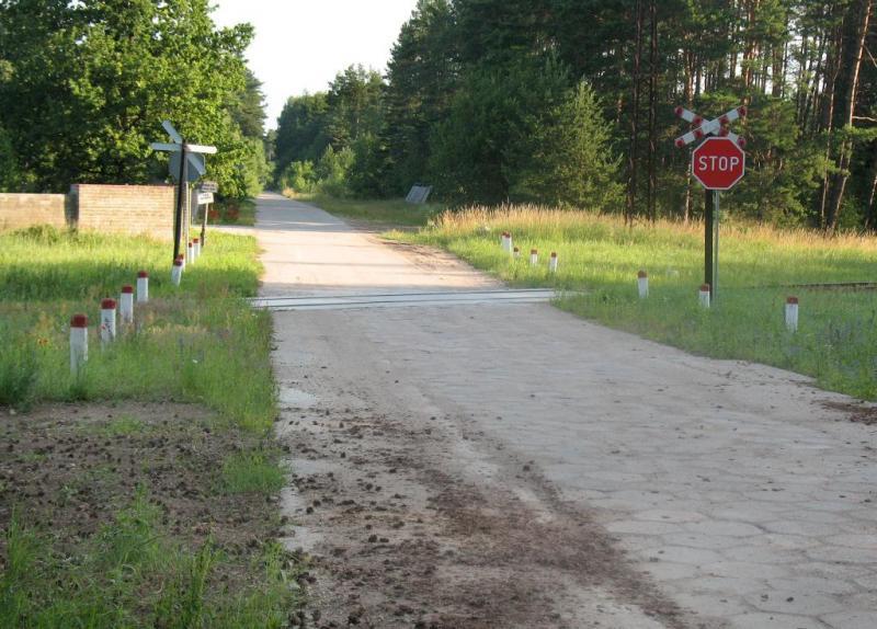 szlak, czarny