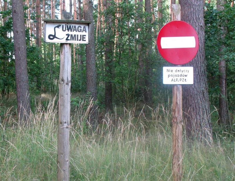 las, znaki, szlak, żmije