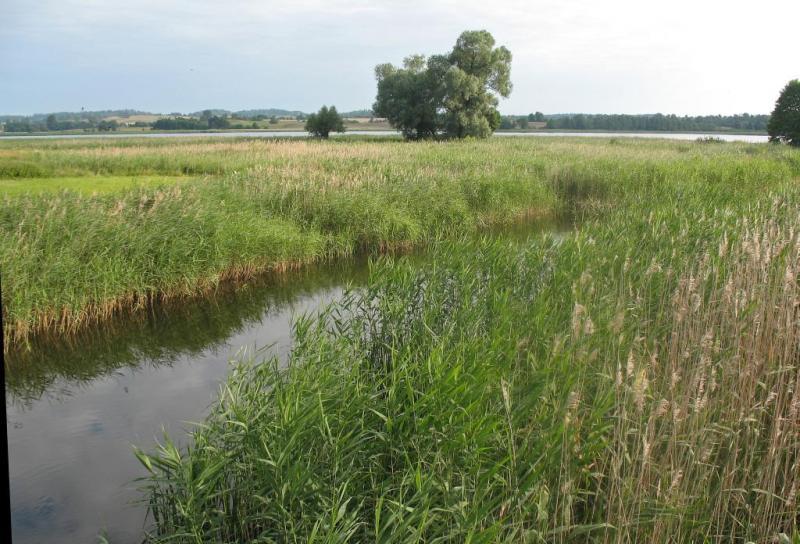 jezioro