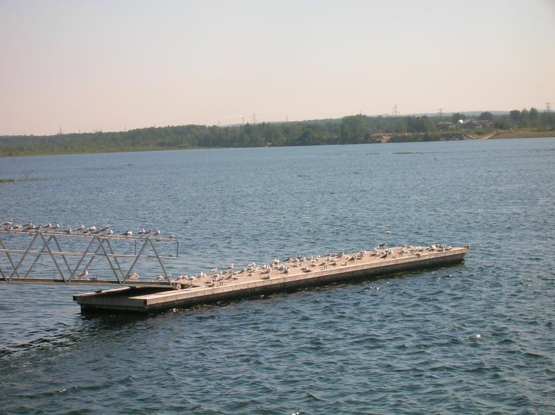 pogoria