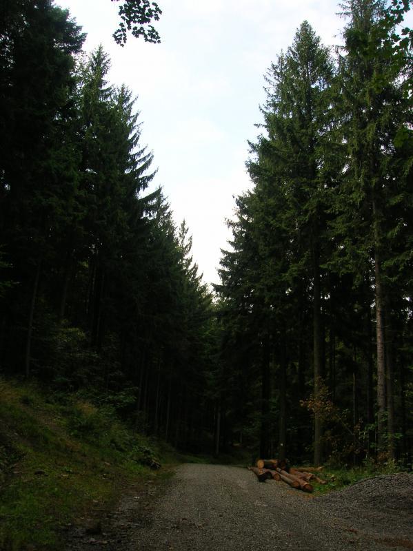 beskidy