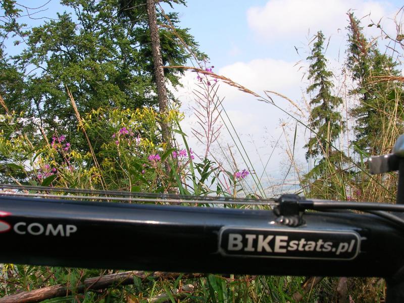 wlepka bikestats, beskidy