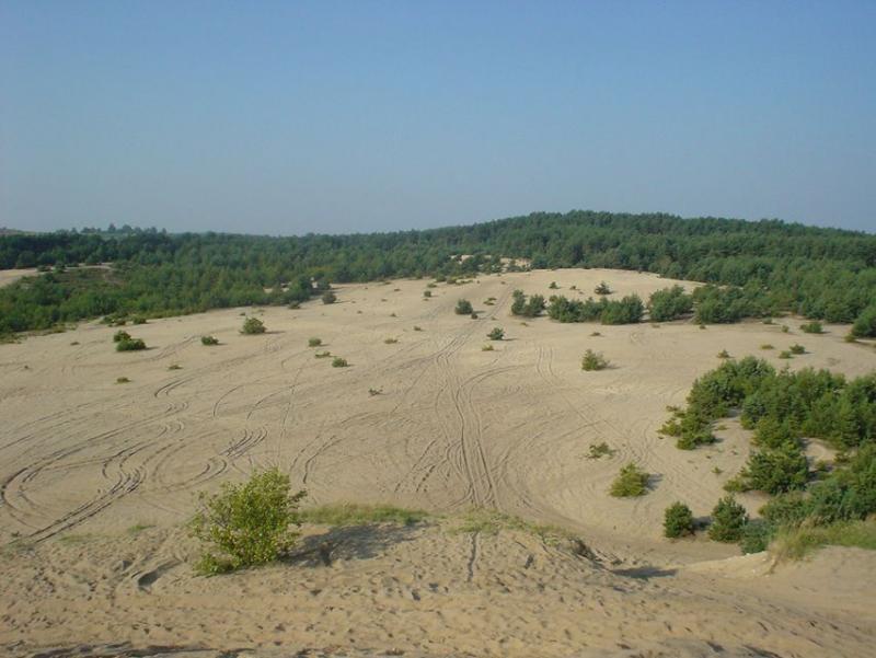 jura, pustynia siedlecka