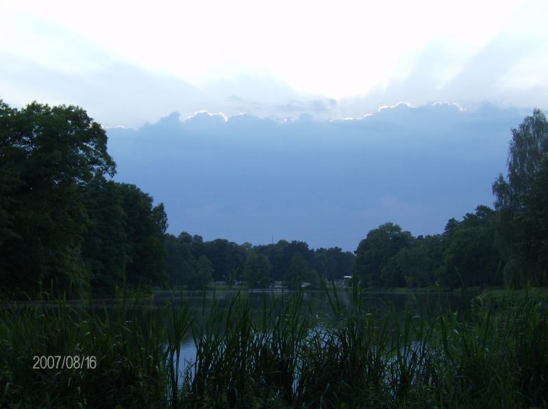 park, świerkol