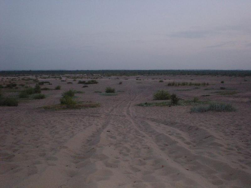 jura, pustynia błędowska