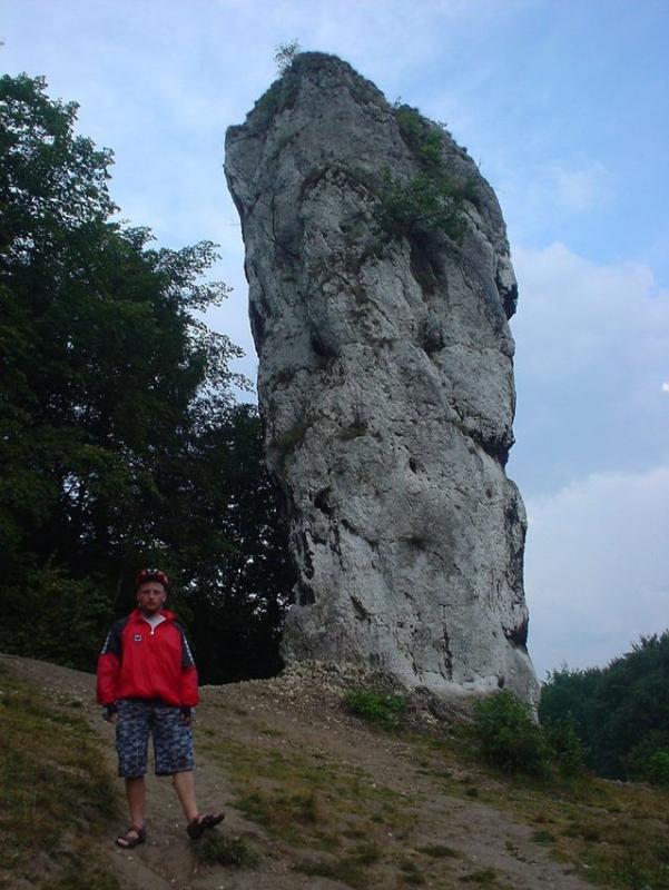 jura, maczuga herkulesa