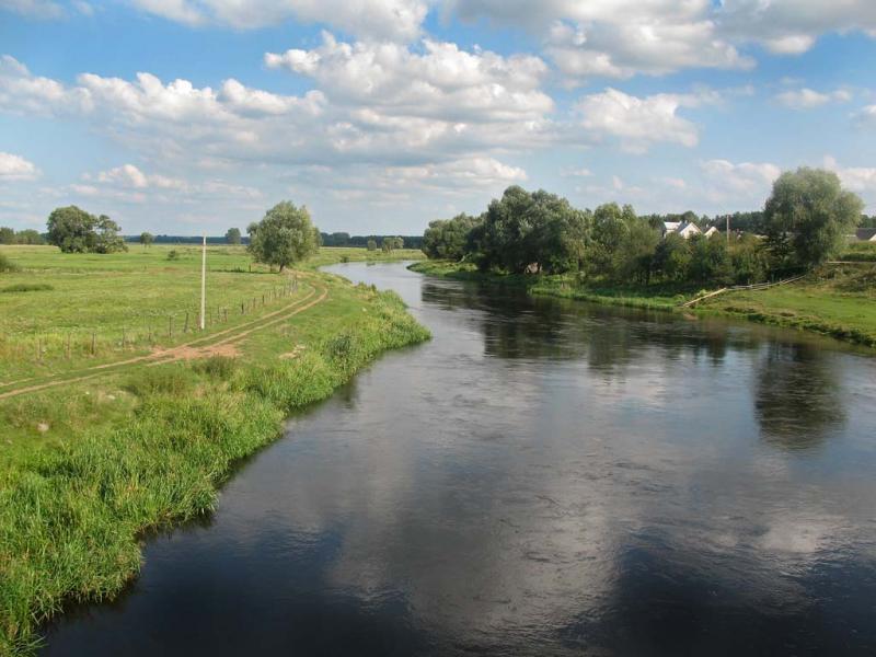 rzeka, narew