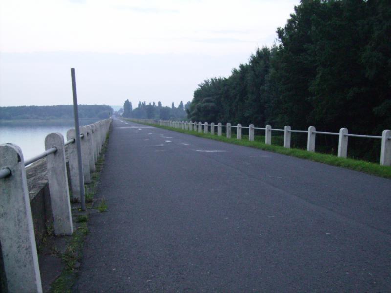 12, swierkol
