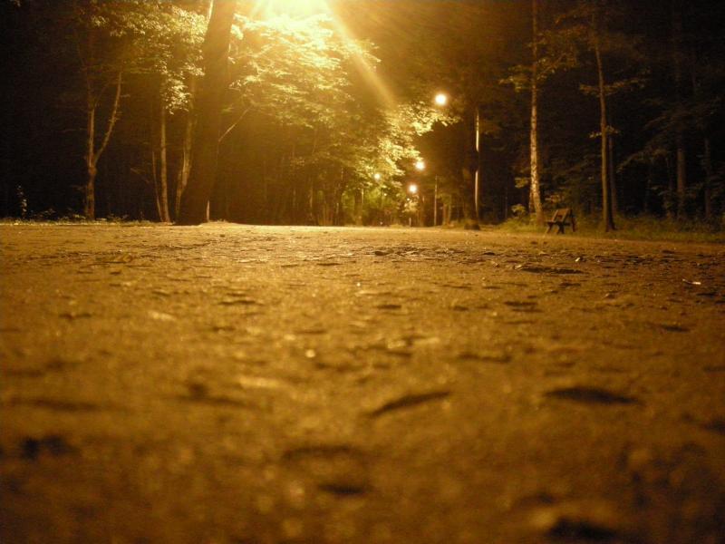 Dąbrowa Górnicza - Park Zielona