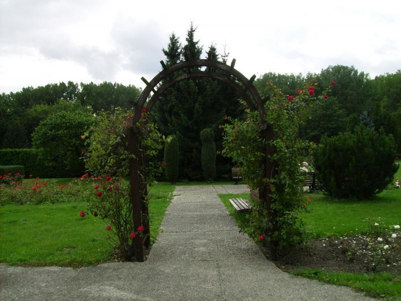 niedziela, park, 1, chorzow, roze