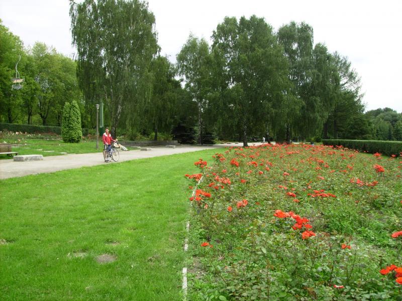 niedziela, park, chorzow, roze, i, marco