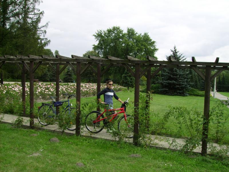 niedziela, park, chorzow, roze, karolina, karliczek