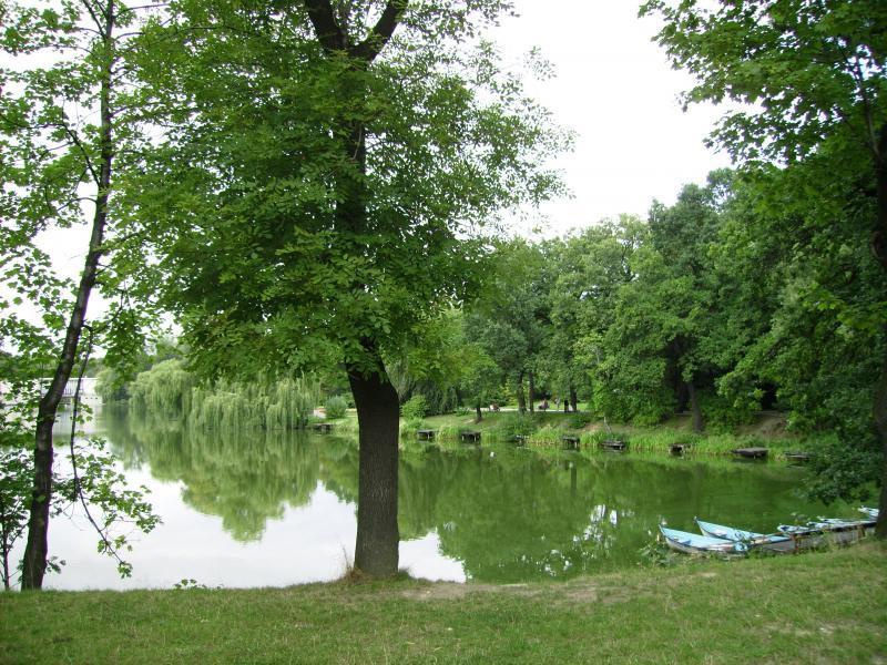 widok, park, 1, chorzow