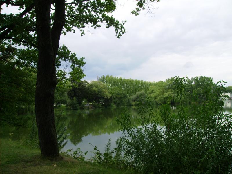 park, 2, chorzow, wodok
