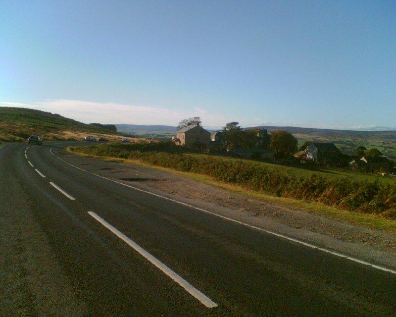 cow and calf