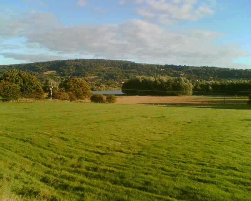 menston