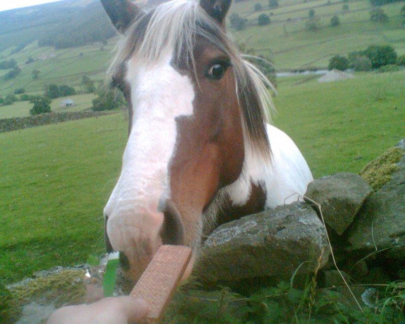 yorkshire dales