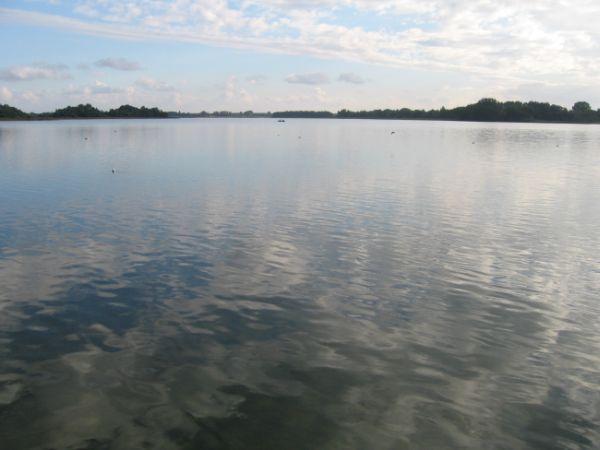 skorzęcin
