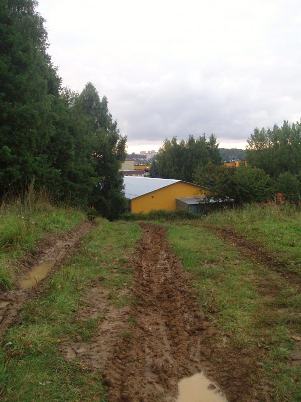 kolibki