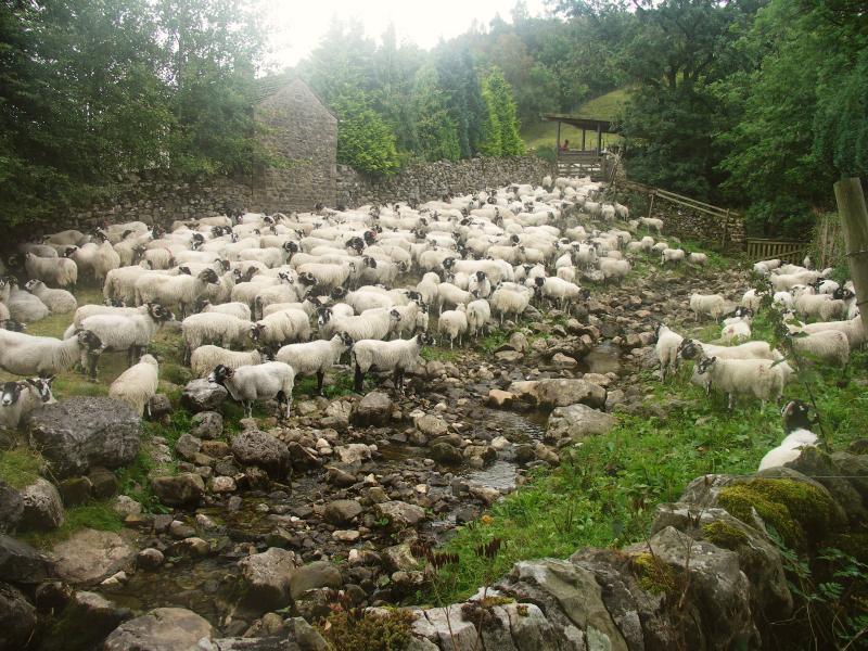 yorkshire dales