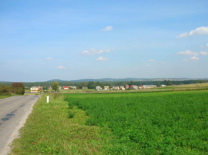 widok