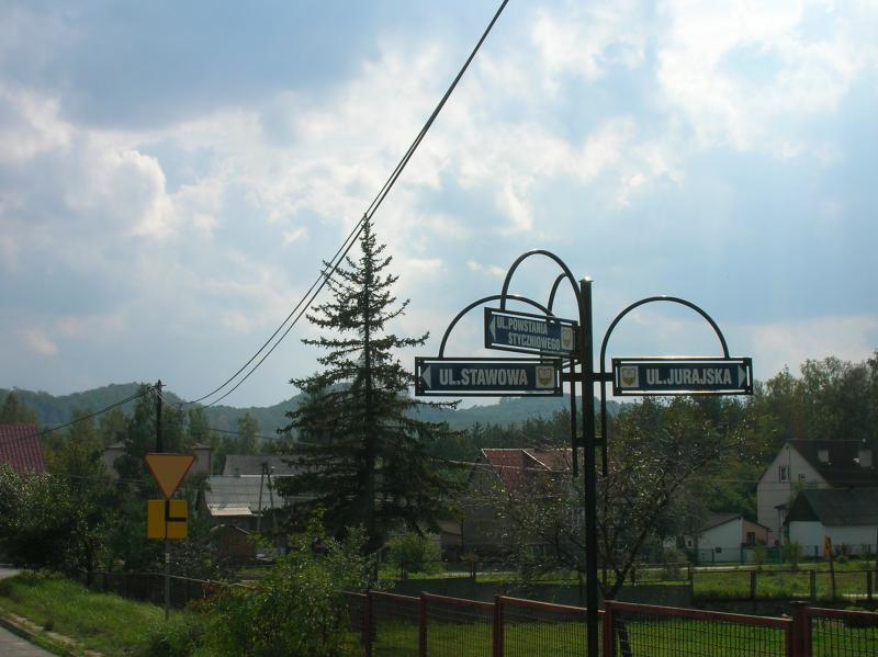 widok