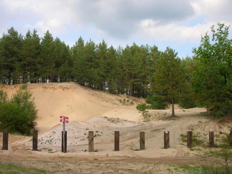 widok