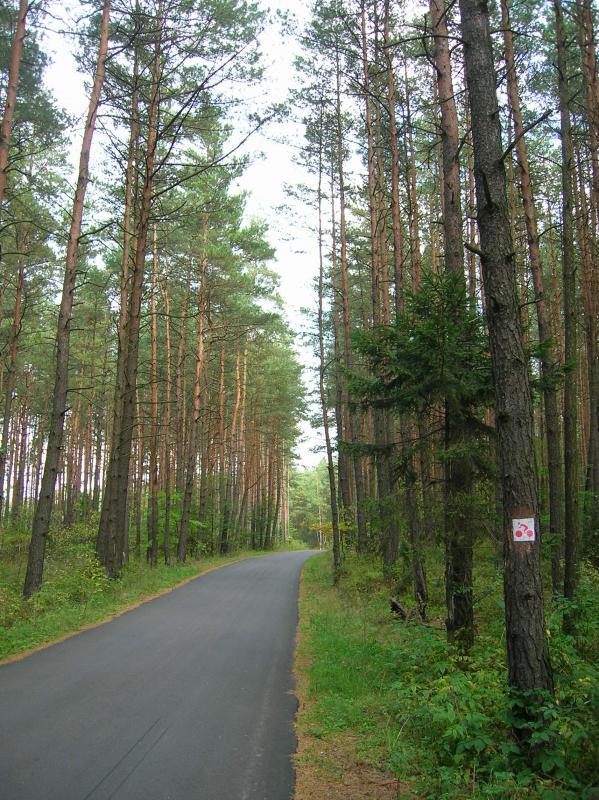 widok