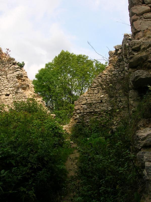 mk
