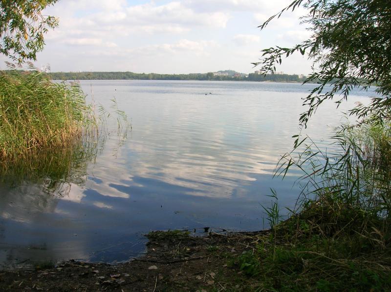pogoria