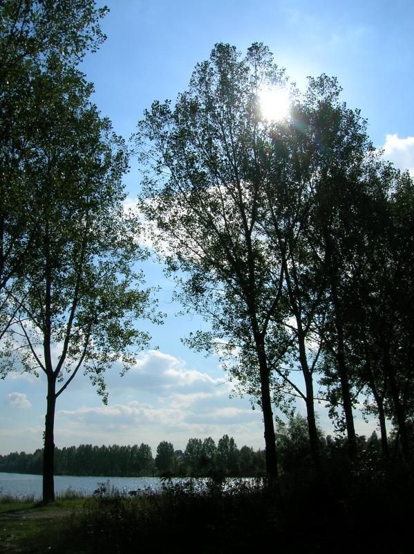 pogoria
