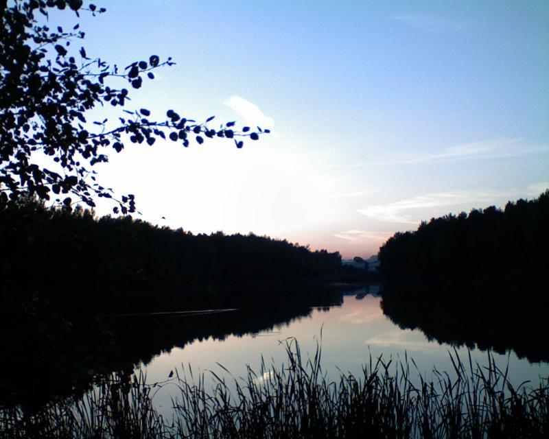 woda, las, zmrok