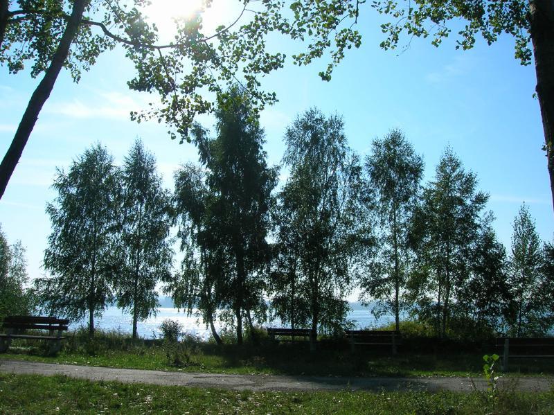 pogoria