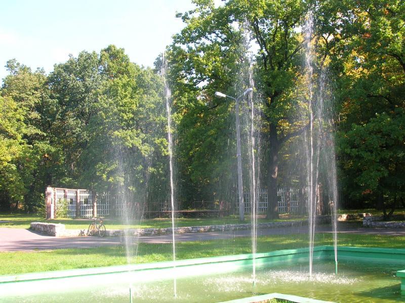 zielona