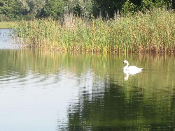 jezioro mrówieckie