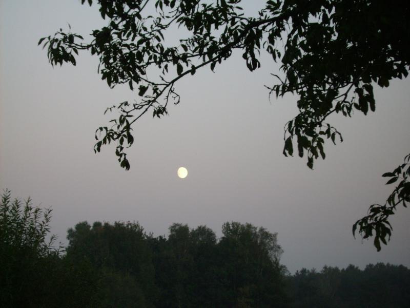 pyrzowice, powrot, ksiezyc