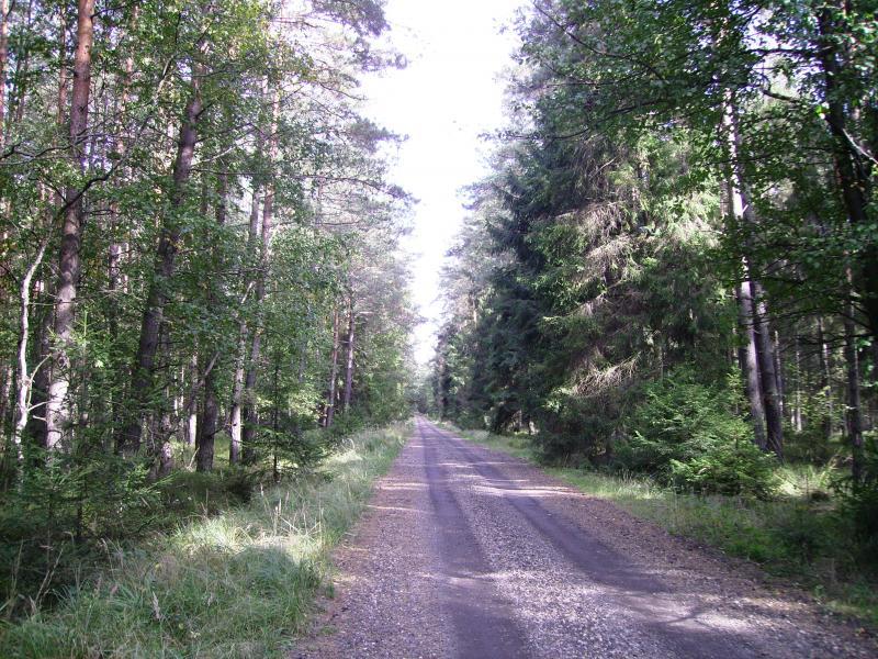 las, 1, sobota, wozniki