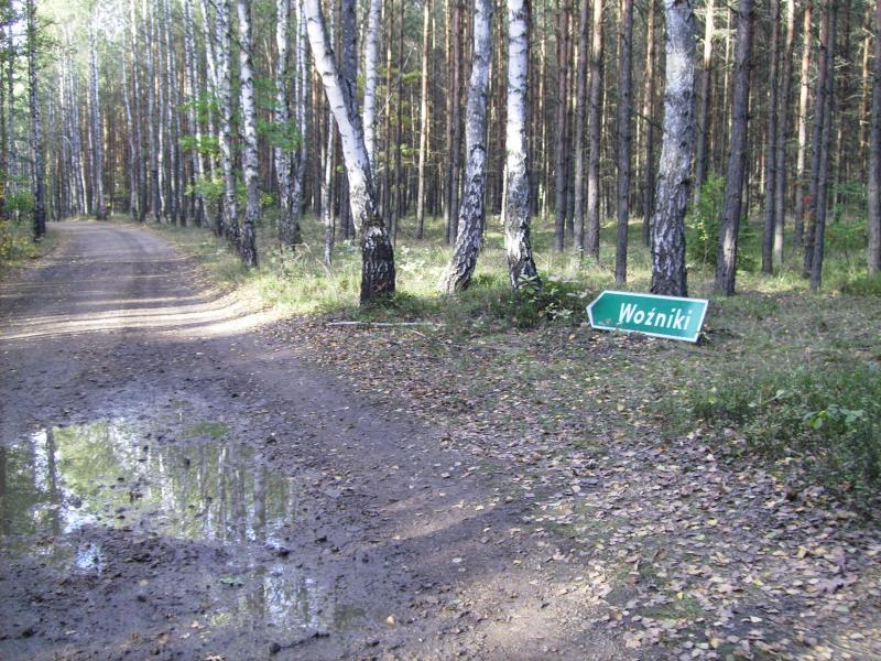 drogowskaz