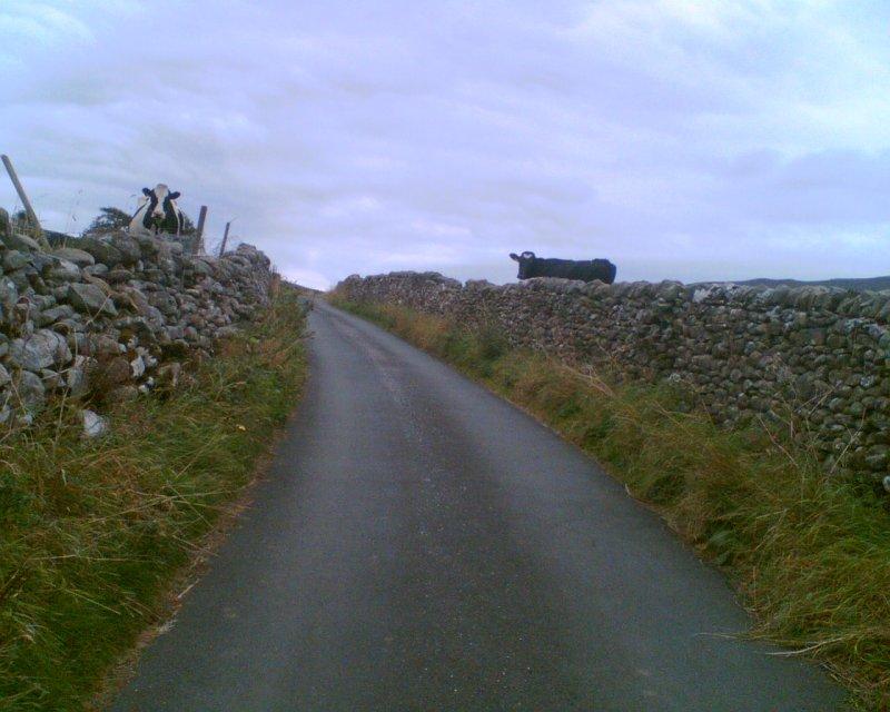 yorkshire dales
