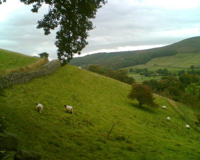 yorkshire dales