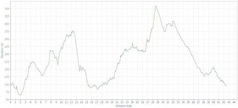 stats elevation