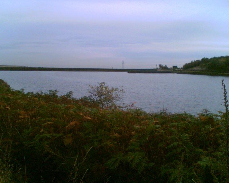 eldwick