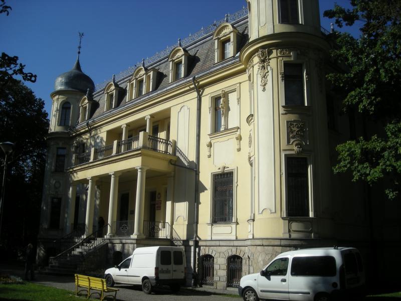 sosnowiec, pałac schoena