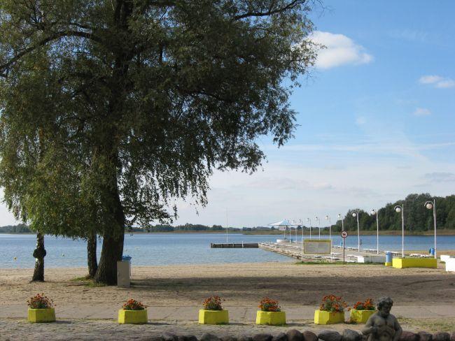 skorzęcin